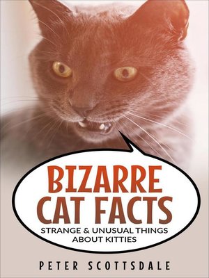 cover image of Bizarre Cat Facts